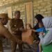 Pj Wali Kota Kendari Sambangi Beberapa Anak Stunting