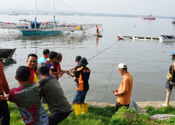 Dinas Perikanan Pimpin Pembersihan Bangkai Kapal di Teluk Kendari