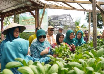 Bunda Literasi Kota Kendari Gelar “Teras Tani” di Kelurahan Padaleu