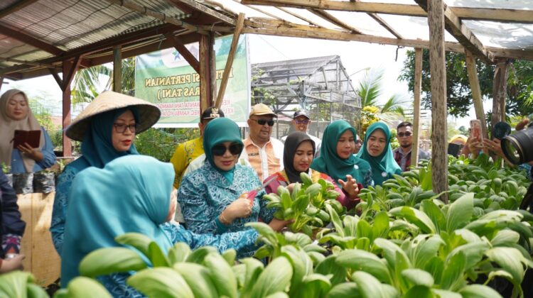 Bunda Literasi Kota Kendari Gelar “Teras Tani” di Kelurahan Padaleu