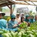 Bunda Literasi Kota Kendari Gelar “Teras Tani” di Kelurahan Padaleu