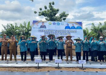 TP PKK Kota Kendari Dukung Gerakan Tanam Cabai se-Indonesia