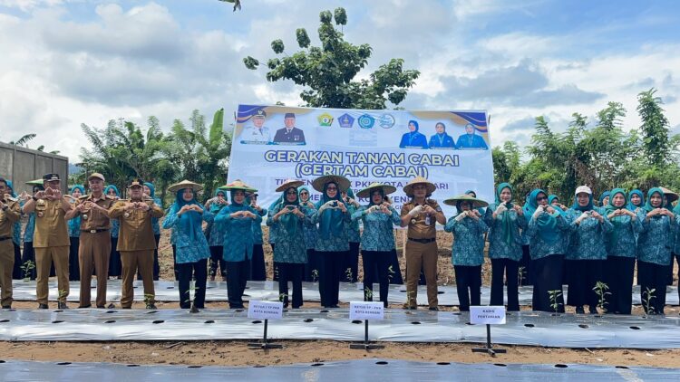 TP PKK Kota Kendari Dukung Gerakan Tanam Cabai se-Indonesia