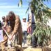 HUT Ke193, Pemkot Kendari Lakukan Penanaman Pohon