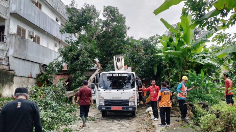 Pohon Tumbang Timpa Rumah Warga di Kelurahan Watu-Watu, Pemkot Kendari Bergerak Cepat