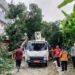 Pohon Tumbang Timpa Rumah Warga di Kelurahan Watu-Watu, Pemkot Kendari Bergerak Cepat