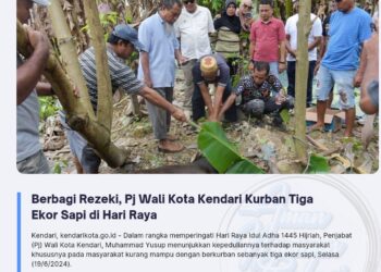 Berbagi Rezeki, Pj Wali Kota Kendari Kurban Tiga Ekor Sapi di Hari Raya