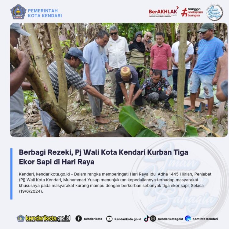 Berbagi Rezeki, Pj Wali Kota Kendari Kurban Tiga Ekor Sapi di Hari Raya
