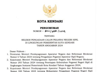 Pengumuman : Seleksi Pengadaan CPNS lingkup Pemerintah Kota Kendari tahun 2024