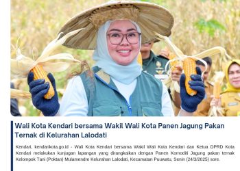 Wali Kota Kendari bersama Wakil Wali Kota Panen Jagung Pakan Ternak di Kelurahan Lalodati