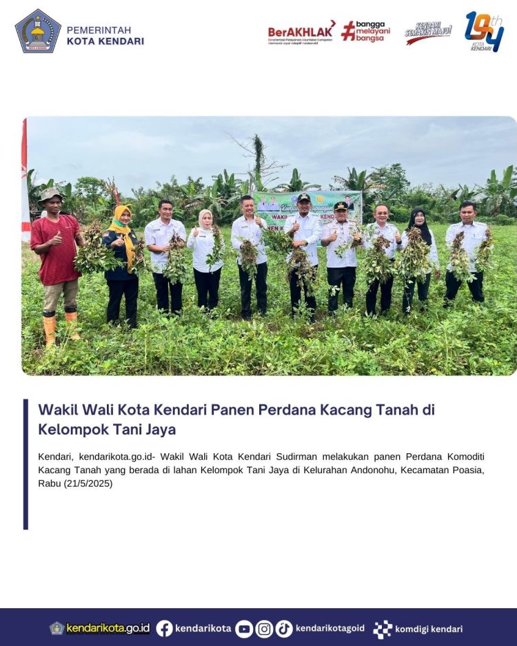 Wakil Wali Kota Kendari Panen Perdana Kacang Tanah di Kelompok Tani Jaya