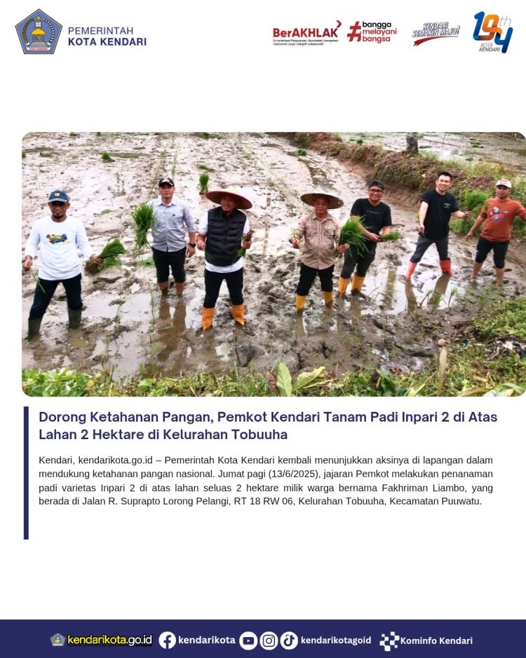 Dorong Ketahanan Pangan, Pemkot Kendari Tanam Padi Inpari 2 di Atas Lahan 2 Hektare di Kelurahan Tobuuha