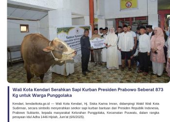 Wali Kota Kendari Serahkan Sapi Kurban Presiden Prabowo Seberat 873 Kg untuk Warga Punggolaka