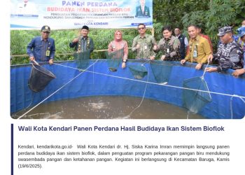 Wali Kota Kendari Panen Perdana Hasil Budidaya Ikan Sistem Bioflok
