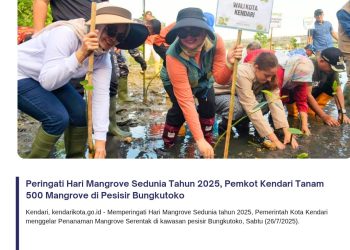 Peringati Hari Mangrove Sedunia Tahun 2025, Pemkot Kendari Tanam 500 Mangrove di Pesisir Bungkutoko