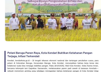 Petani Baruga Panen Raya, Kota Kendari Buktikan Ketahanan Pangan Terjaga, Inflasi Terkendali