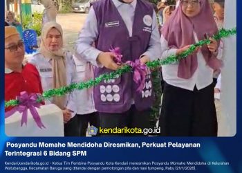 Posyandu Momahe Mendidoha Diresmikan, Perkuat Pelayanan Terintegrasi 6 Bidang SPM
