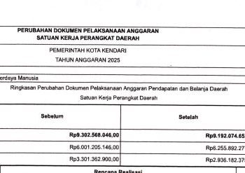 Ringkasan DPPA Tahun 2025