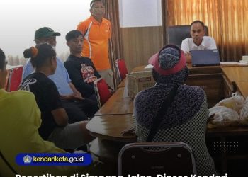 Penertiban di Simpang Jalan, Dinsos Kendari Tegaskan Larangan Aktivitas Jalanan