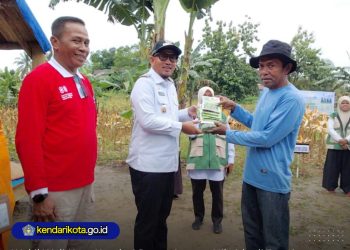 Wakil Wali Kota Kendari Panen Jagung Hibrida di Poasia, Perkuat Ketahanan Pangan dan Kendalikan Inflasi