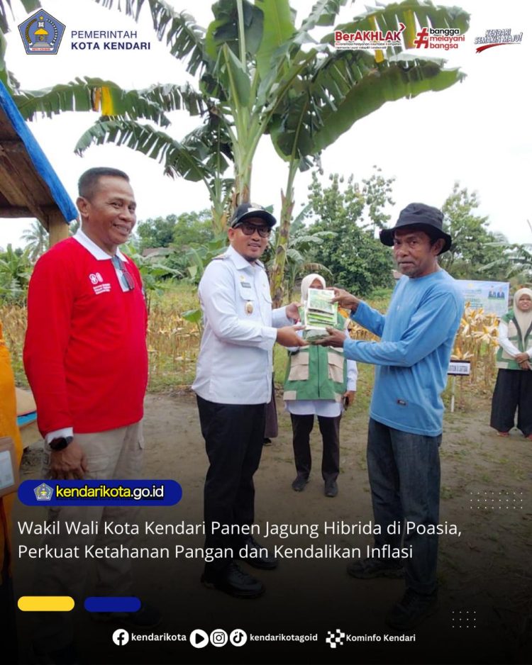 Wakil Wali Kota Kendari Panen Jagung Hibrida di Poasia, Perkuat Ketahanan Pangan dan Kendalikan Inflasi