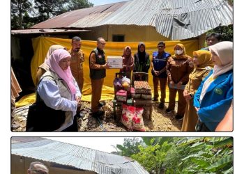 Dinsos Kendari Serahkan Bantuan pada Korban Pohon Tumbang di Kelurahan Mata