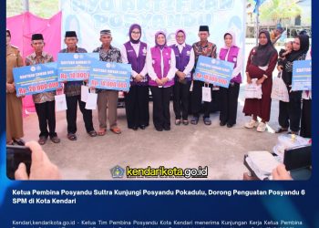 Ketua Pembina Posyandu Sultra Kunjungi Posyandu Pokadulu, Dorong Penguatan Posyandu 6 SPM di Kota Kendari