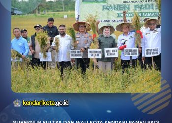Gubernur Sultra dan Wali Kota Kendari Panen Padi di Baruga, Produksi Capai 5,5 Ton per Hektare