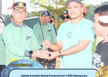 Sekda Kendari Mulai Penanaman 1.000 Mangrove, Tegaskan Komitmen Jaga Pesisir untuk Generasi Mendatang