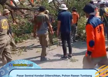 Pasar Sentral Kendari Dibersihkan, Pohon Rawan Tumbang Ikut Ditangani