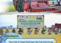 Panen Padi di Tengah Kekeringan, Wali Kota Siska Dorong Amohalo Jadi Penopang Pangan Kendari