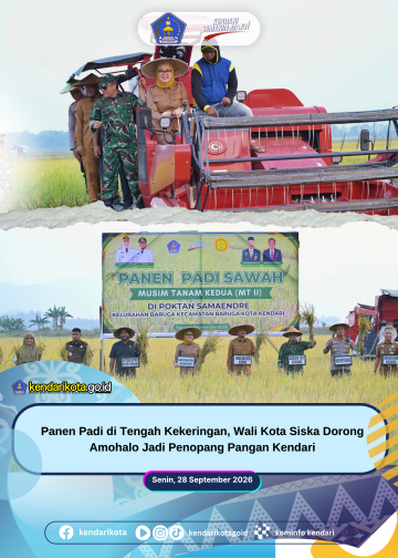 Panen Padi di Tengah Kekeringan, Wali Kota Siska Dorong Amohalo Jadi Penopang Pangan Kendari