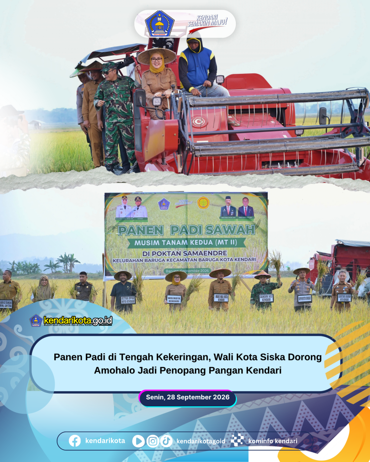 Panen Padi di Tengah Kekeringan, Wali Kota Siska Dorong Amohalo Jadi Penopang Pangan Kendari